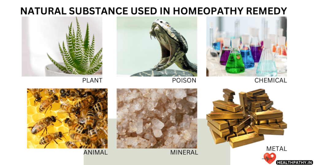 Preparation Of Homeopathic Medicine